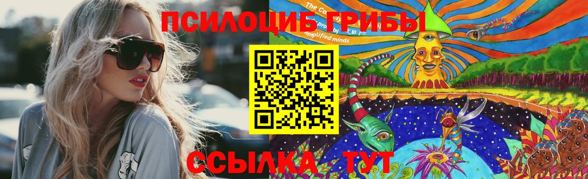 Галлюциногенные грибы Magic Shrooms Люберцы