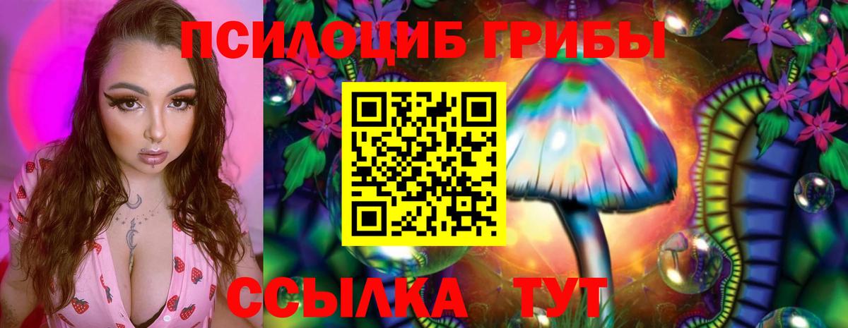 Галлюциногенные грибы мицелий  купить наркоту  Люберцы  Вход с VPN 